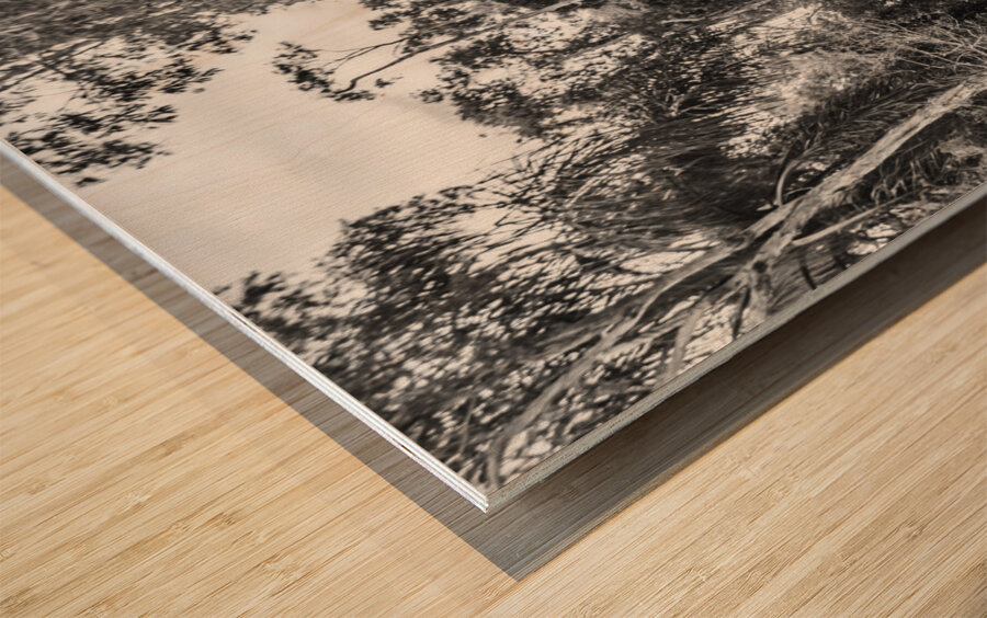 Vintage Outbacks Wood print