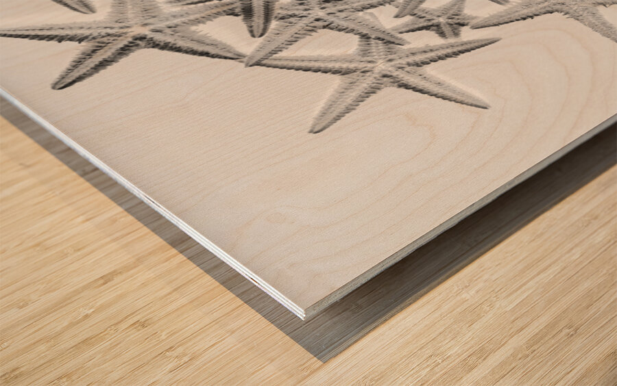 Sea staring Wood print