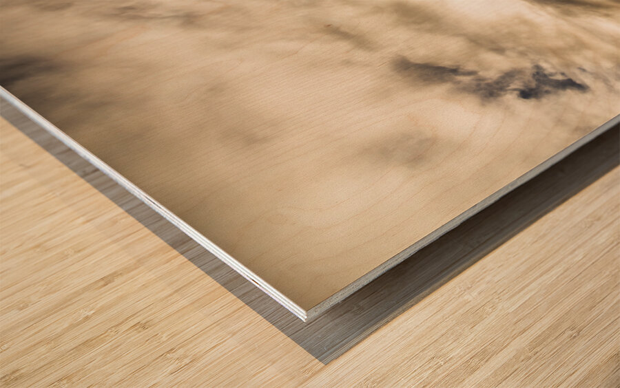 Wondrous tropical beach Wood print