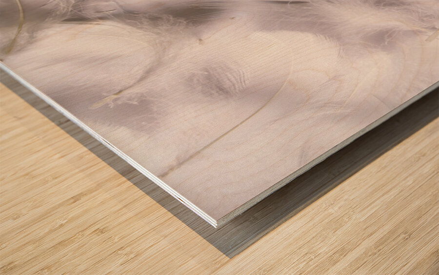 White on white Wood print