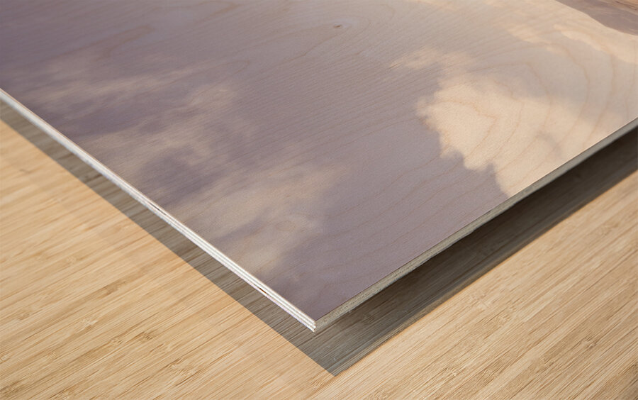 Wonderful west coast Tasmania views Wood print