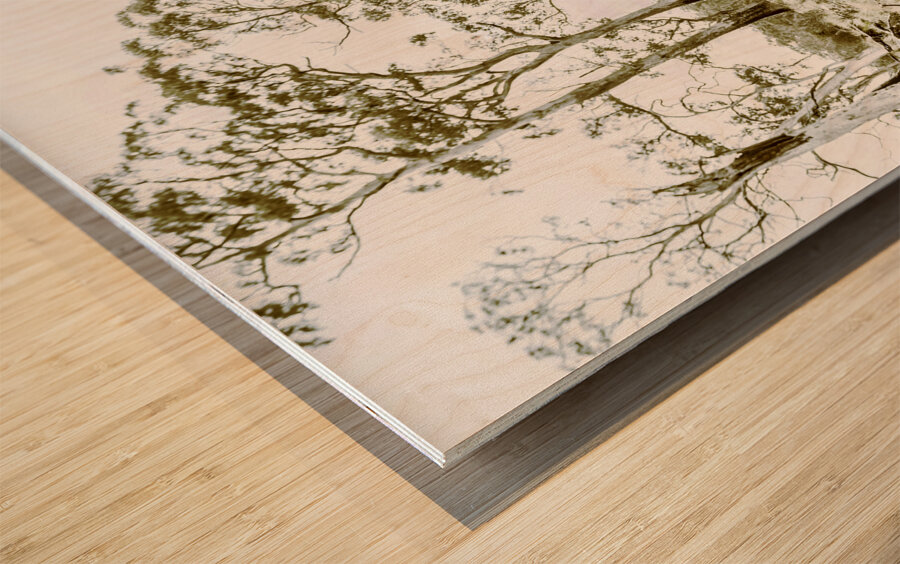 Vintage winter car wreck Wood print