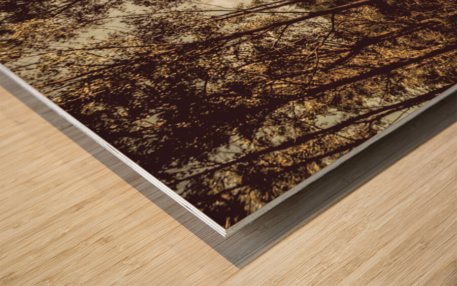 Off road trails Wood print