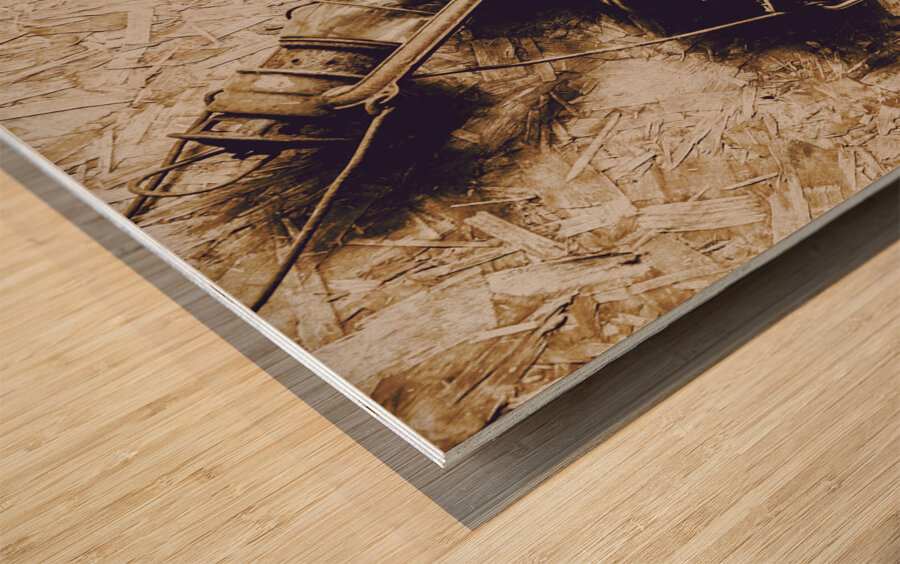 Closeup Of Antique Oil Lamps Wood print