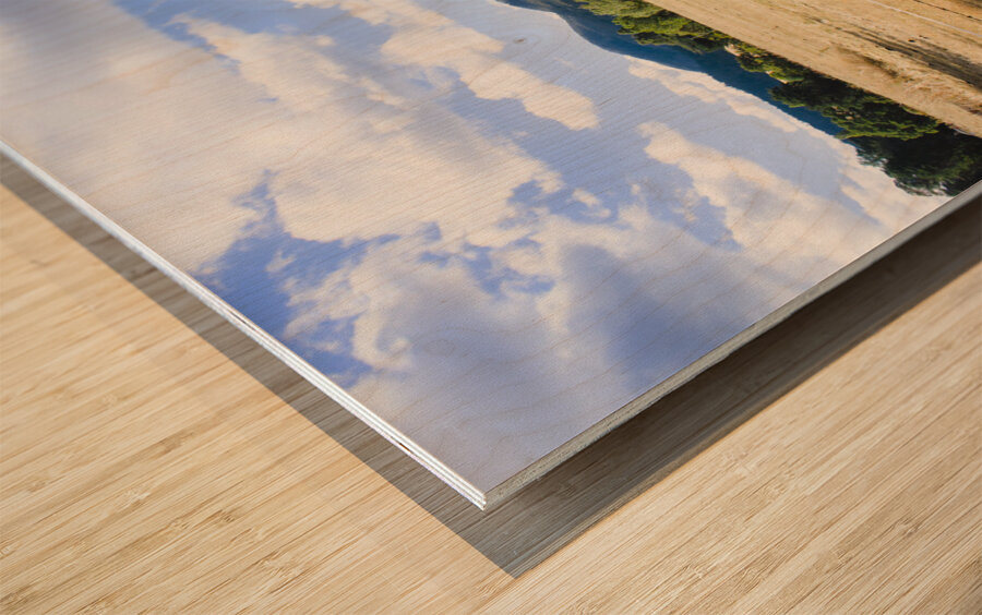 Man enjoying a rural farm landscape in Hobart Wood print