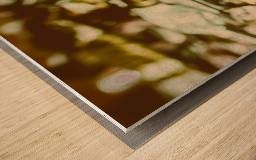 Retro craft buckets Wood print