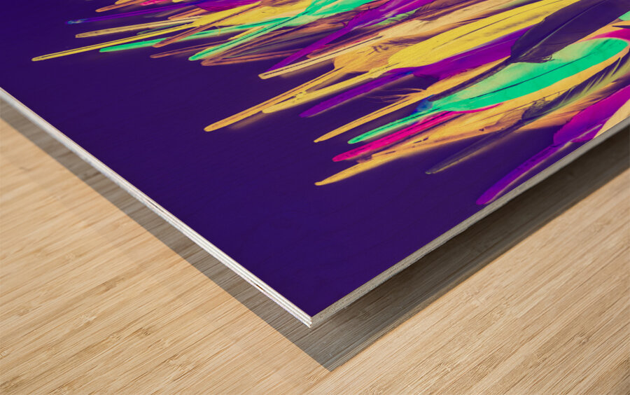 Colour runs Wood print