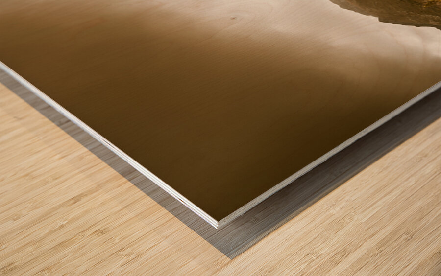 Ever expansive Tasmania Wood print