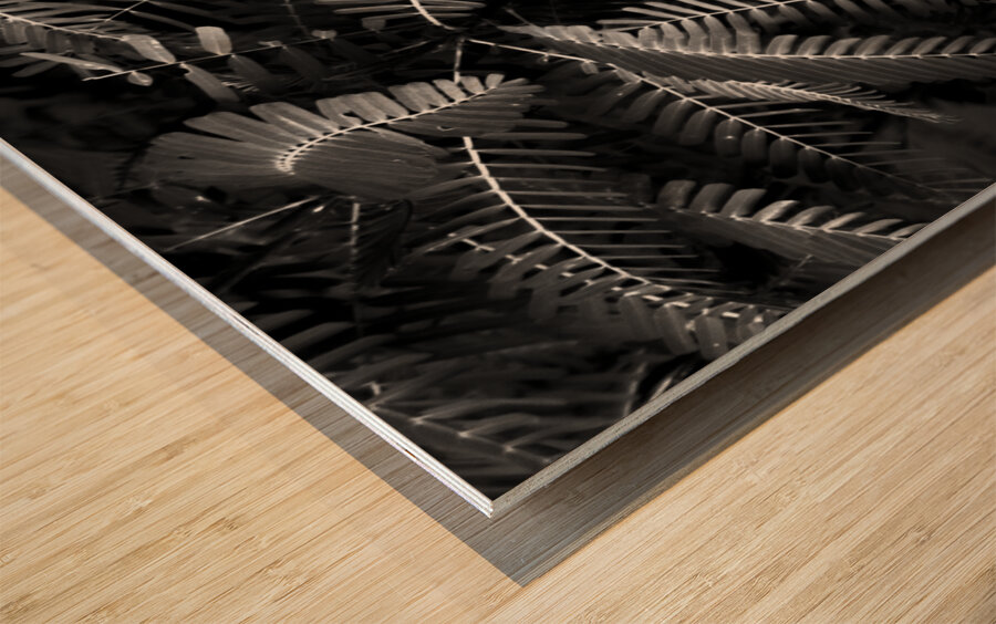 Ferns by the river Wood print