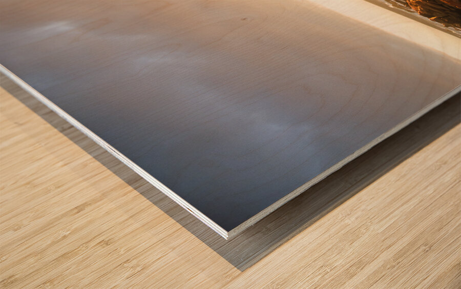 Golden Tasmania coastline Wood print