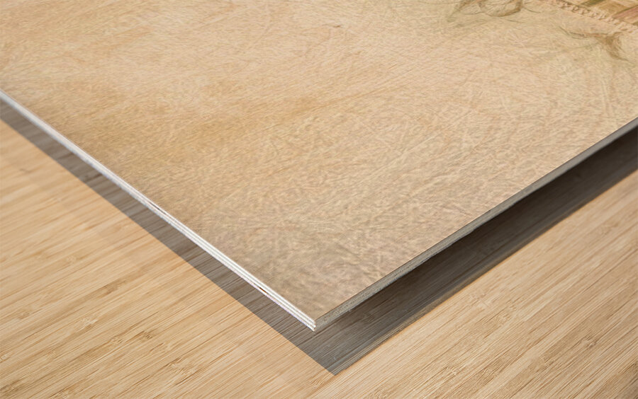 Horse drawn funeral cart  Wood print