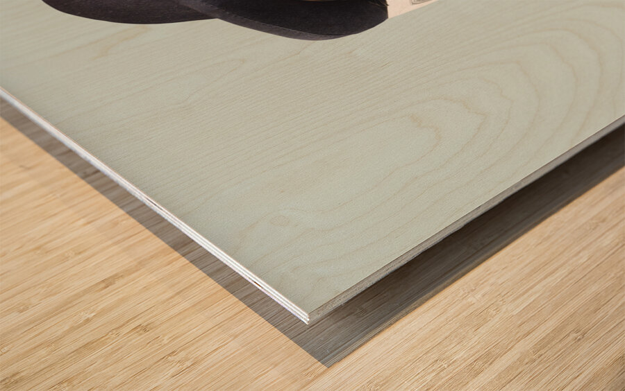 Woman rolling rich with US money Wood print