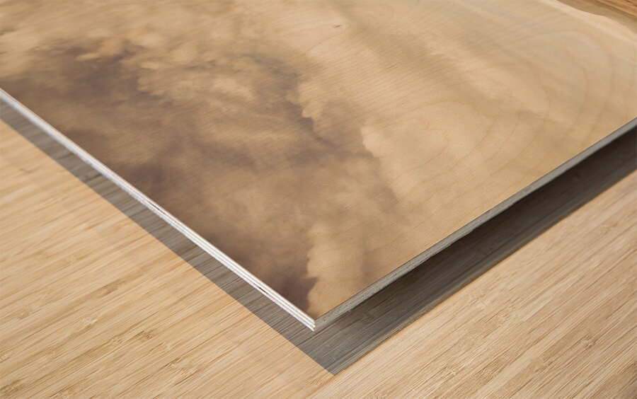 Muted mountain views Wood print