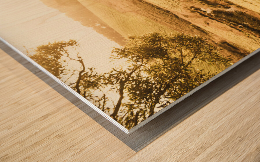 Sun drenched country Wood print