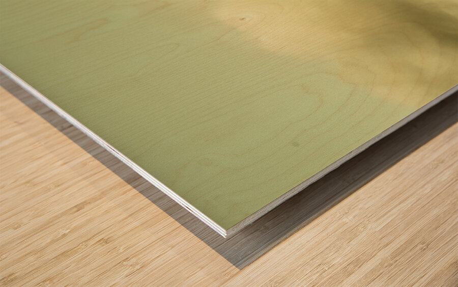 Mountains and peaks Wood print