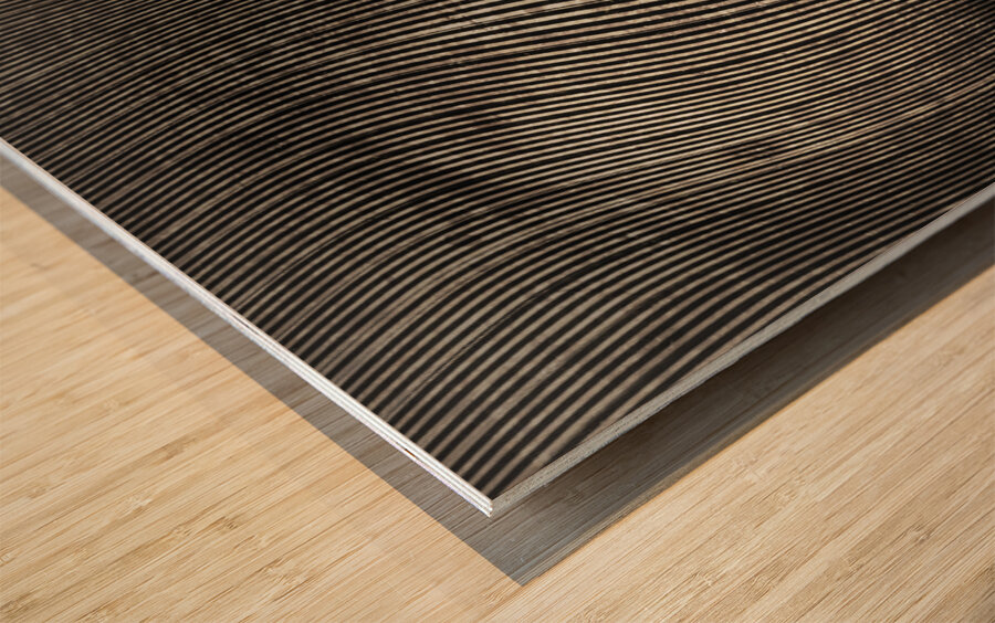 Vintage fantasy girl walking the path of creation Wood print