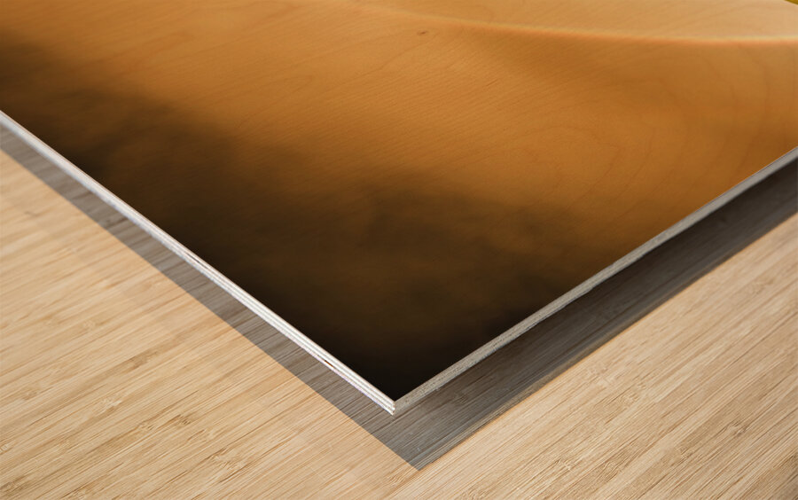 Way Outback Wood print