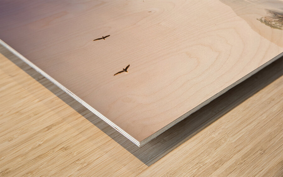 Derwent River reflections Wood print