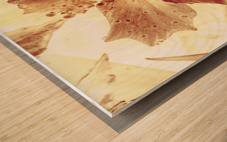 Hi-biscus Wood print