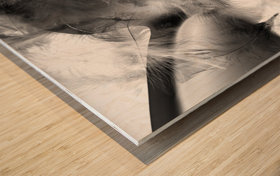 illusory design Wood print