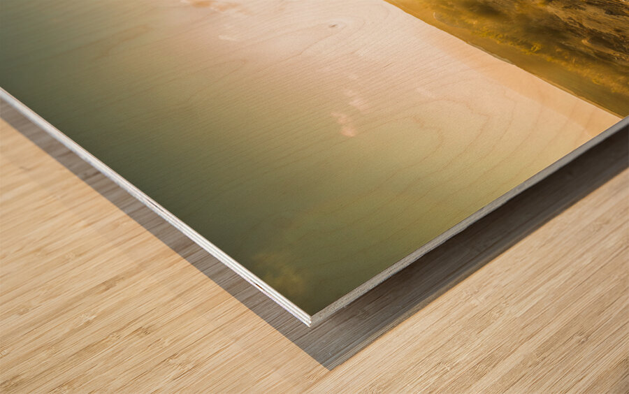 Trail to Trial Wood print