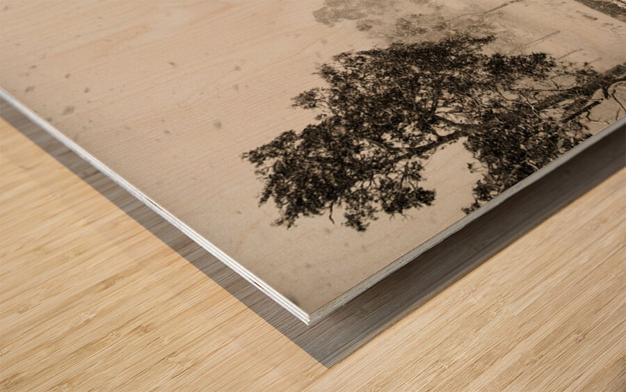 White washed Wood print