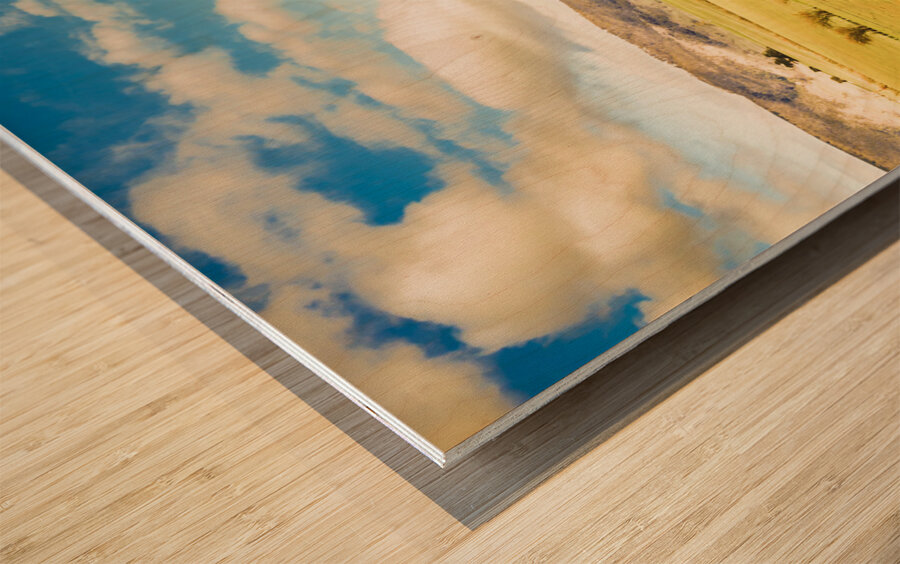 Fields of Plenty Wood print