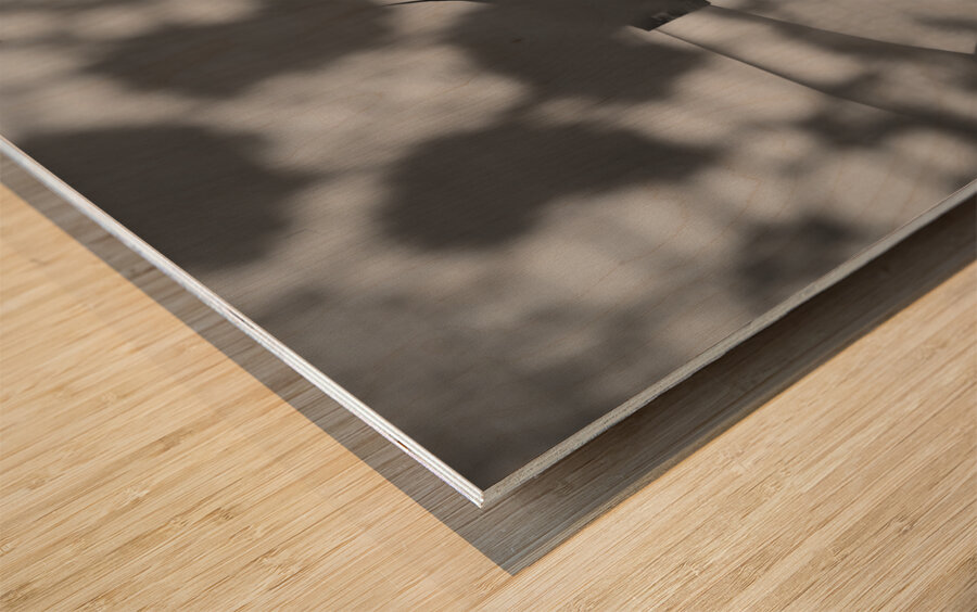 Dark black and white fashion art woman Wood print