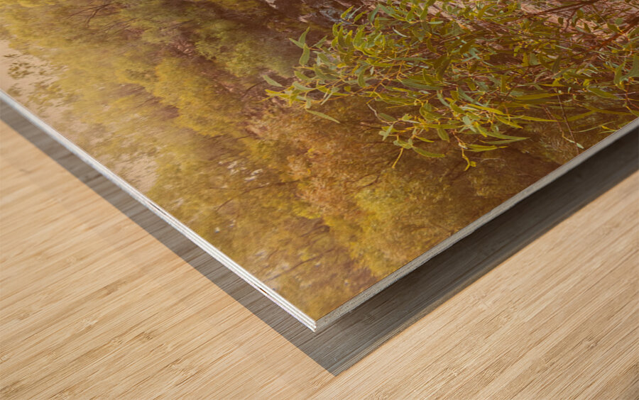 Utopia Falls Wood print