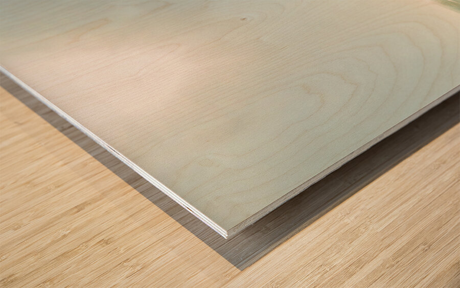 West Coast Way Wood print