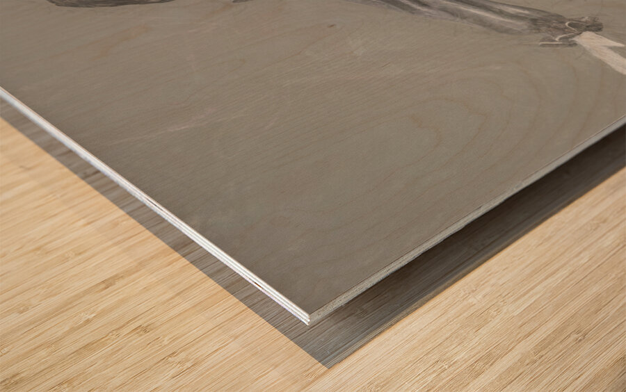 Sketchy the clown Wood print