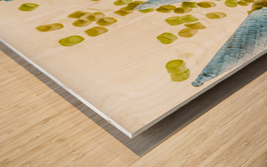 Summer inversion Wood print