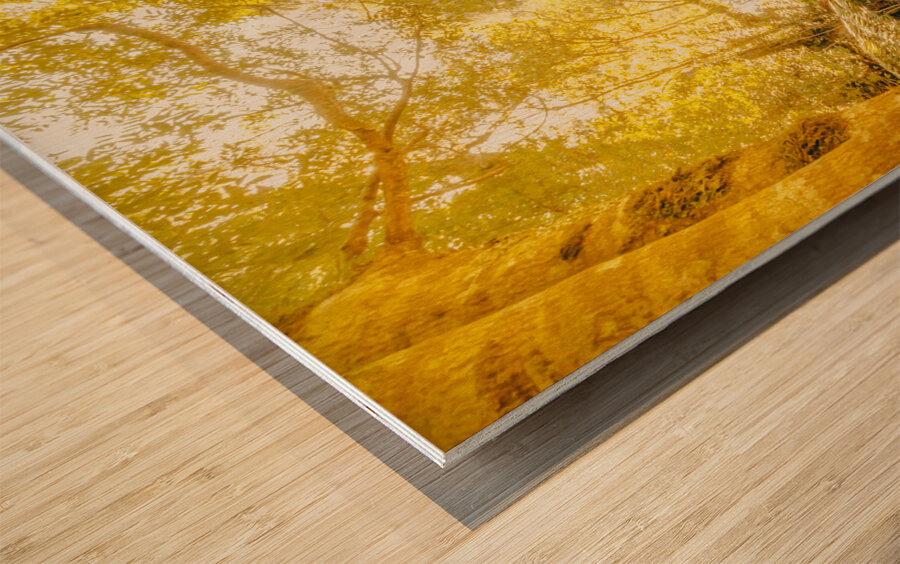 Water in fall Wood print