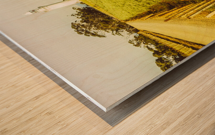 Table Cape Lighthouse Wood print