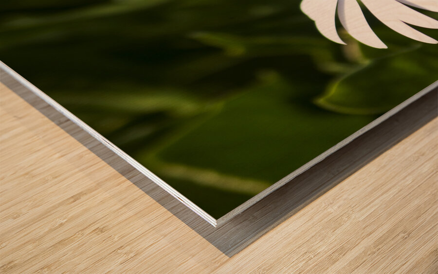 Blossoming Harmony Wood print