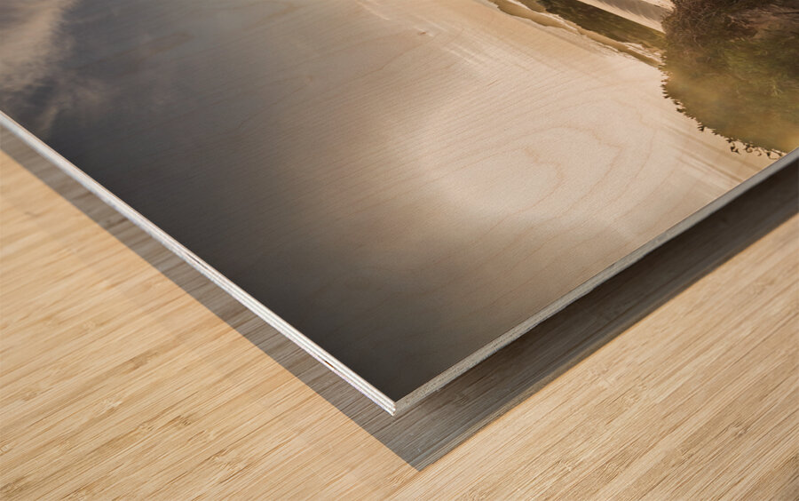 Summer oasis Wood print