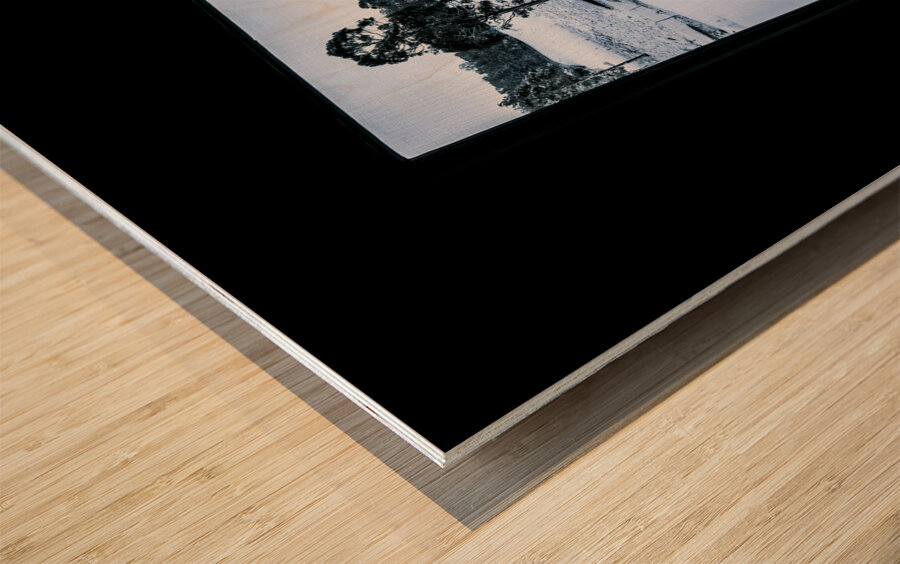 Black and blue snow landscape Wood print