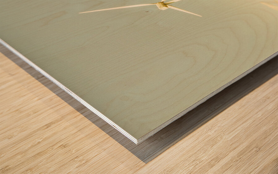 Road to green farming Wood print