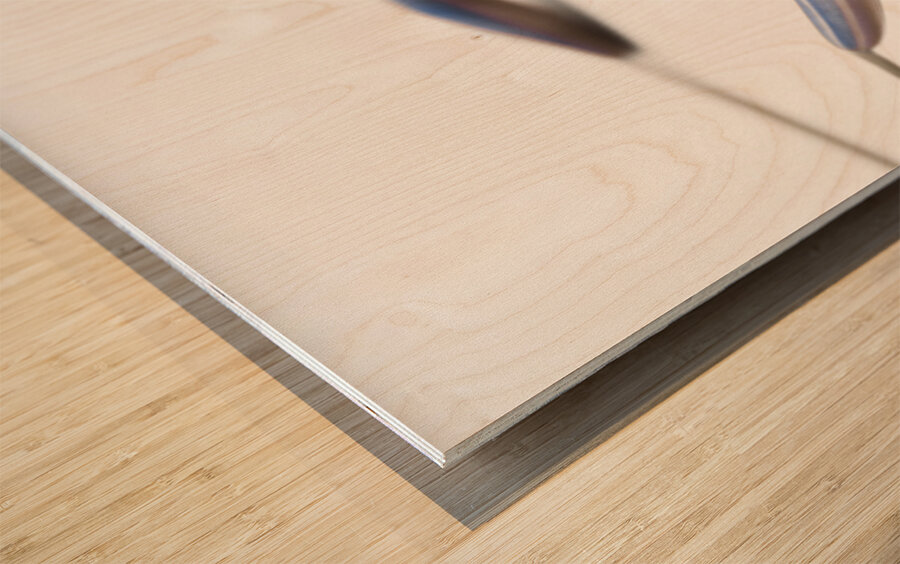 Blue Bell Agapanthus flower  Wood print