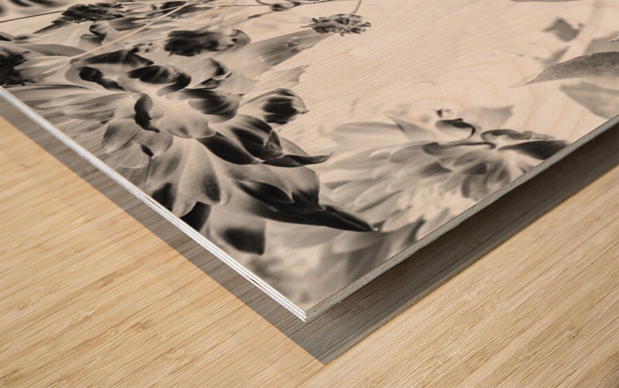 Harmonics inverted Wood print