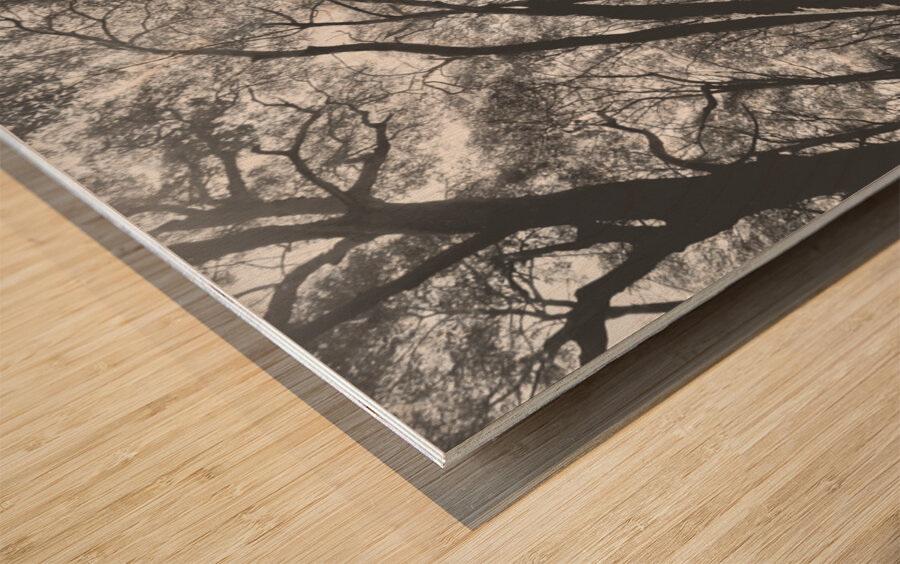 Parallels Wood print