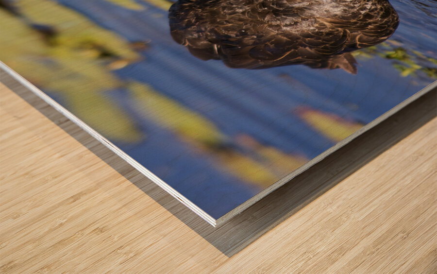 Duck Hunt Wood print