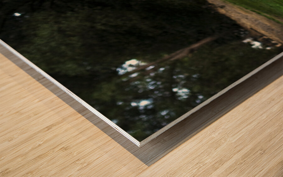 Killing Time Wood print