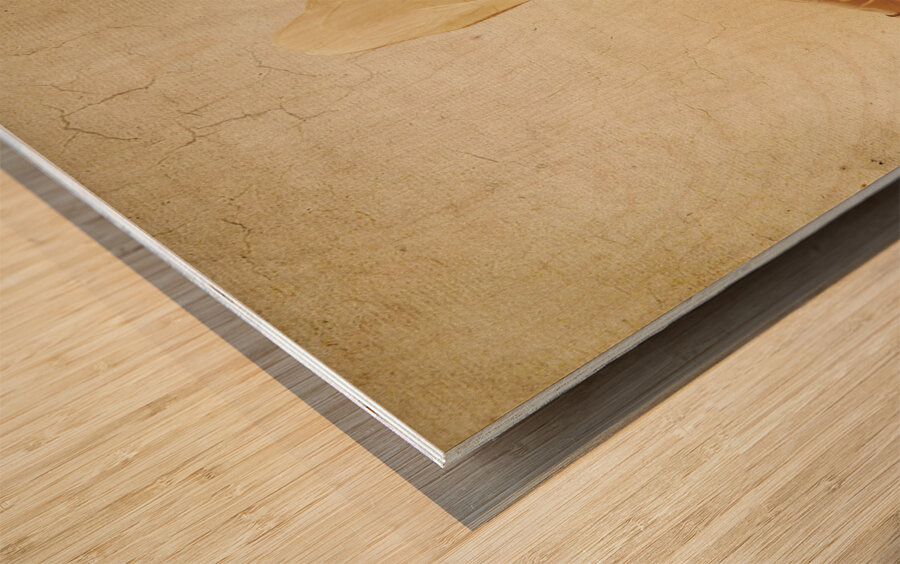 Old vintage gold gramophone photo. Classical sound Wood print