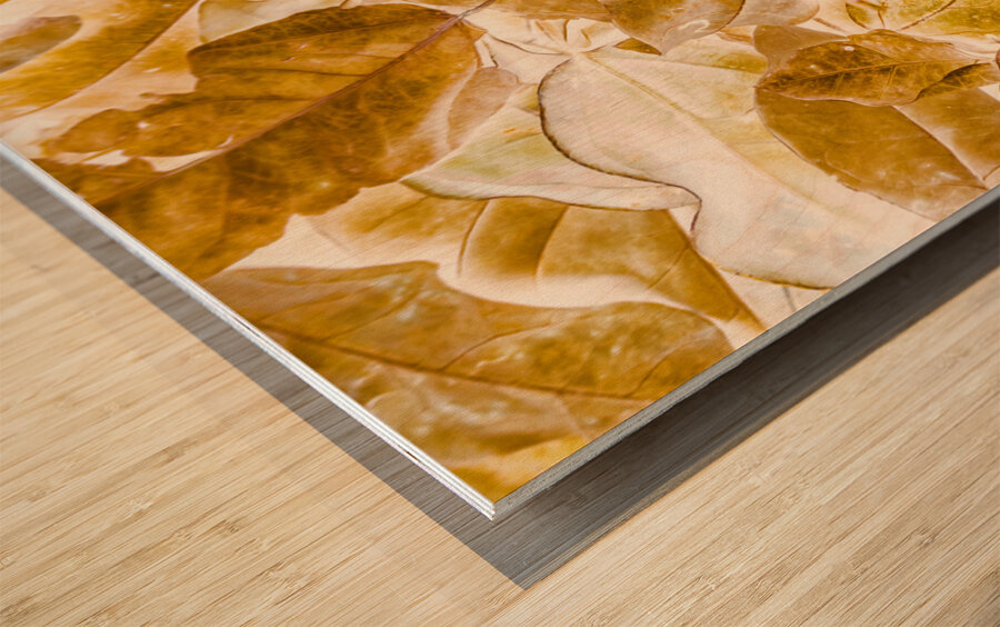 Seasonal gold Wood print