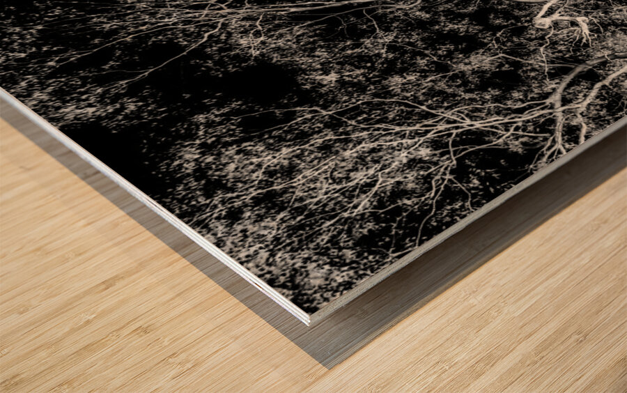 Tree dream Wood print