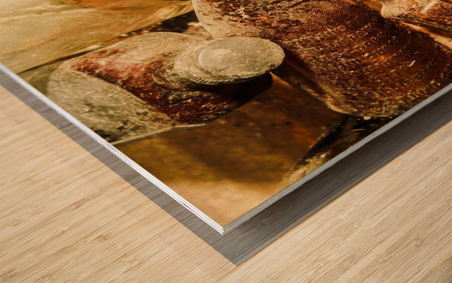 Dust covered medicine bottles Wood print