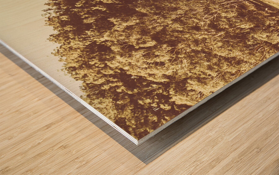 Mathinna farmyard field Wood print