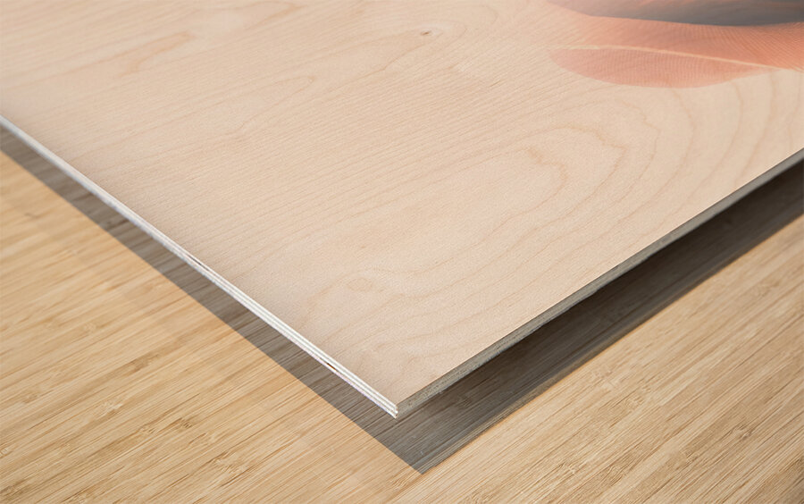 Summer Woman Wood print