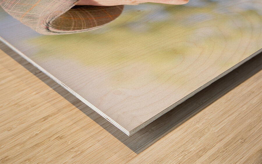 Mad About Golf Wood print